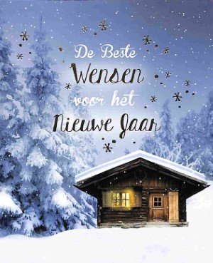 Doos De Beste Wensen voor het Nieuwe Jaar