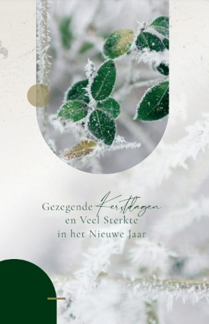 Gezegende Kerstdagen en Veel Sterkte in het Nieuwe Jaar