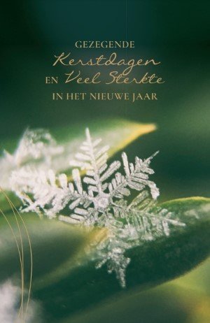 Gezegende Kerstdagen en Veel Sterkte in het Nieuwe Jaar