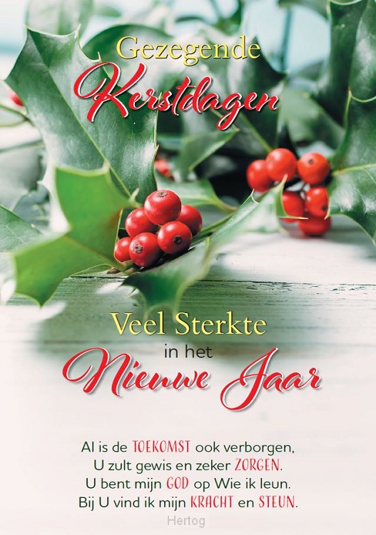 Wenskaart Gezegende Kerstdagen Veel Sterkte in het Nieuwe Jaar - met tekst