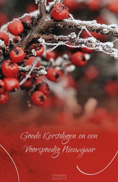 Goede Kerstdagen en een Voorspoedig Nieuwjaar