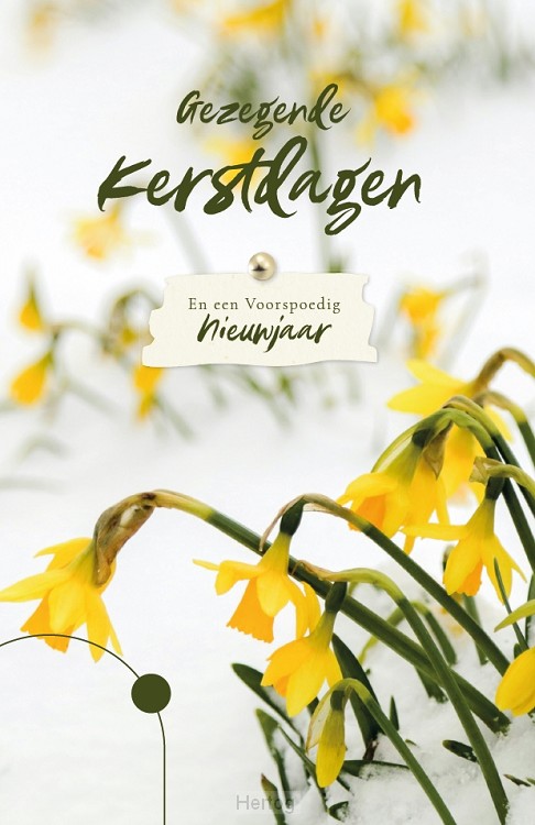 Goede Kerstdagen En een Voorspoedig Nieuwjaar