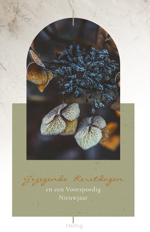 Goede Kerstdagen en een Voorspoedig Nieuwjaar