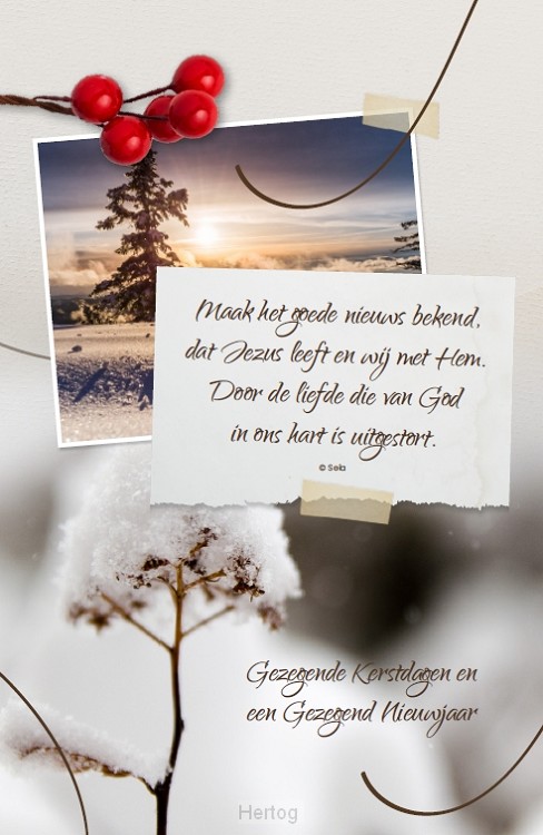 Gezegende Kerstdagen en een Gezegend Nieuwjaar