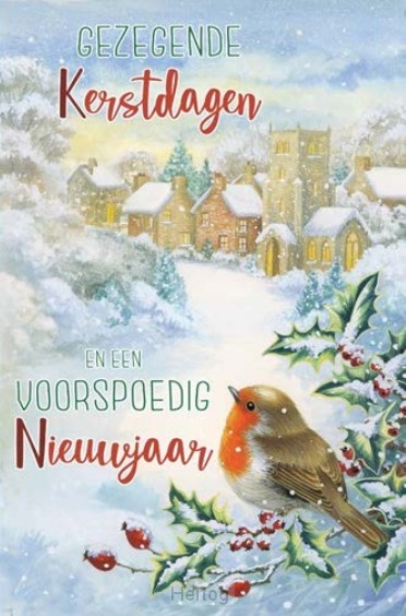 Doos Gezegende Kerstdagen en een Voorspoedig Nieuwjaar