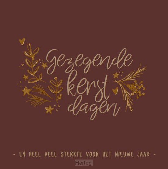 Gezegende kerstdagen en heel veel sterkte voor het nieuwe jaar - kaart
