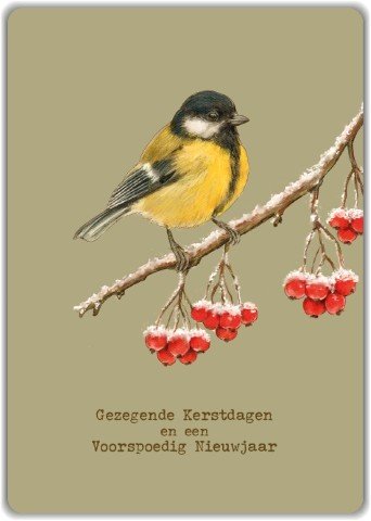 Gezegende Kerstdagen en een Voorspoedig Nieuwjaar