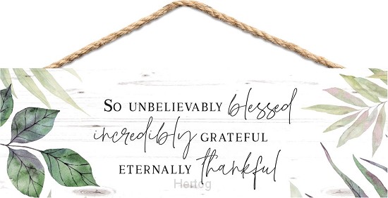 So unbelievably blessed - hanger hout