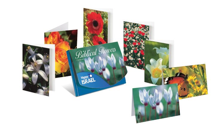 Biblical flowers - 7 kaarten met enveloppen
