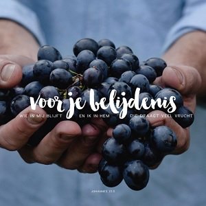 Voor je belijdenis - Johannes 15:5 (HSV)