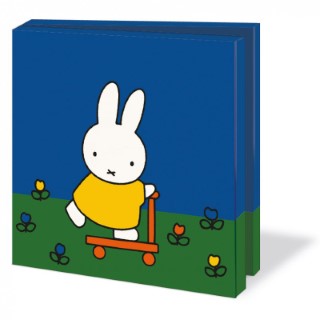 Nijntje - kaartenmapje met enveloppen