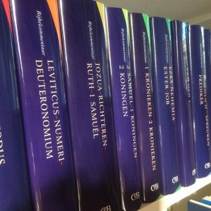 Studiebijbel OT set 12 delen