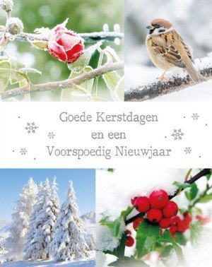 Doos Goede Kerstdagen en een Voorspoedig Nieuwjaar