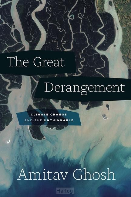 The Great Derangement