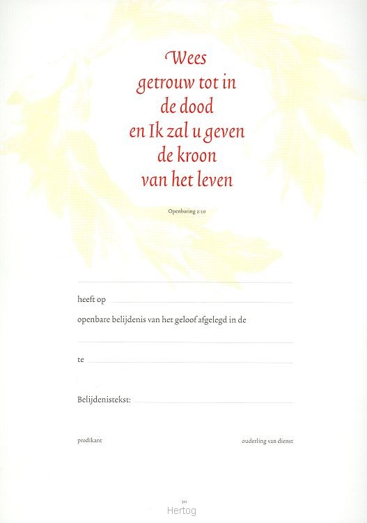 Belijdeniskaart 301
