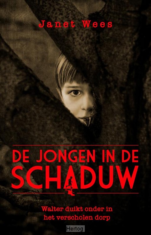 De jongen in de schaduw