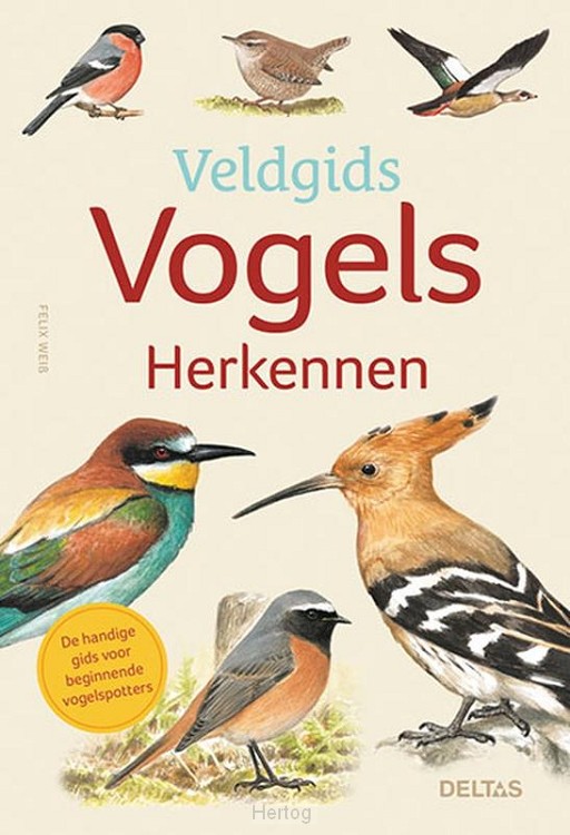 Veldgids vogels herkennen