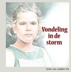 Vondeling in de storm
