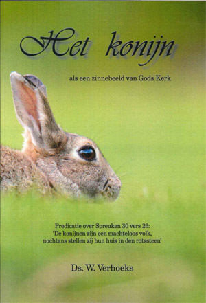 Het konijn als een zinnebeeld van Gods Kerk