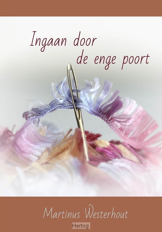 Ingaan door de enge poort