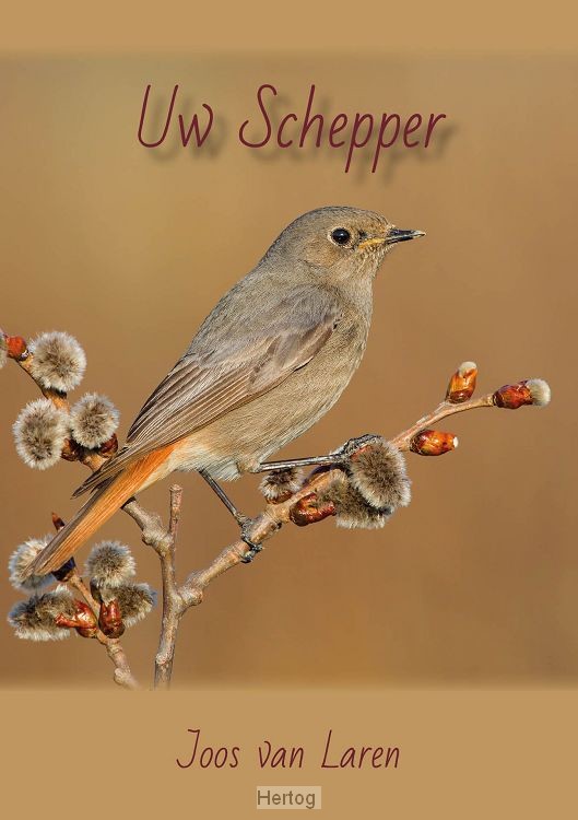 Uw Schepper