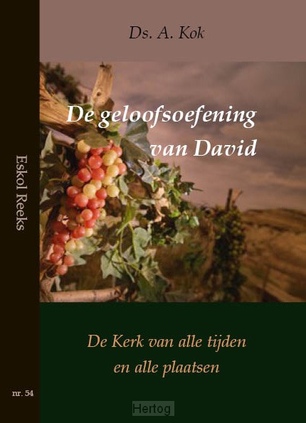 De geloofsoefening van David