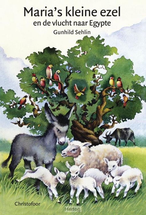 Maria's kleine ezel