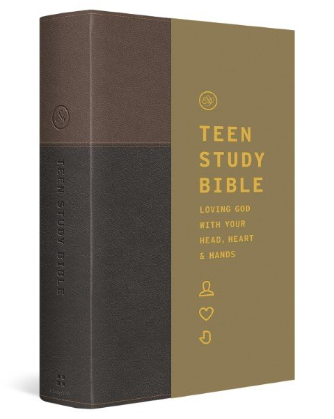ESV Teen Study Bible, Slate/Umber