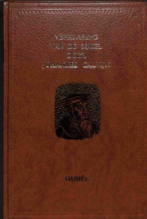 Daniël - 2 delen