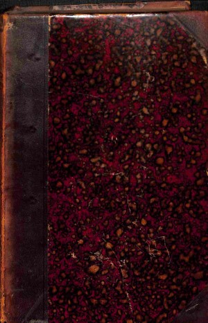 Grieks-theologisch woordenboek - 2 delen