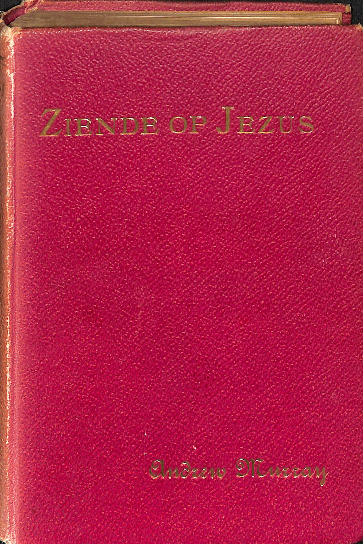 Ziende op Jezus