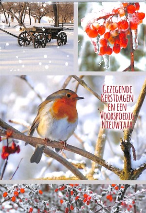 Gezegende Kerstdagen en een Voorspoedig Nieuwjaar - pakje kaarten